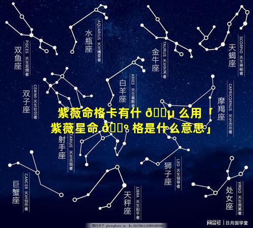 紫薇命格卡有什 🌵 么用「紫薇星命 🌺 格是什么意思」